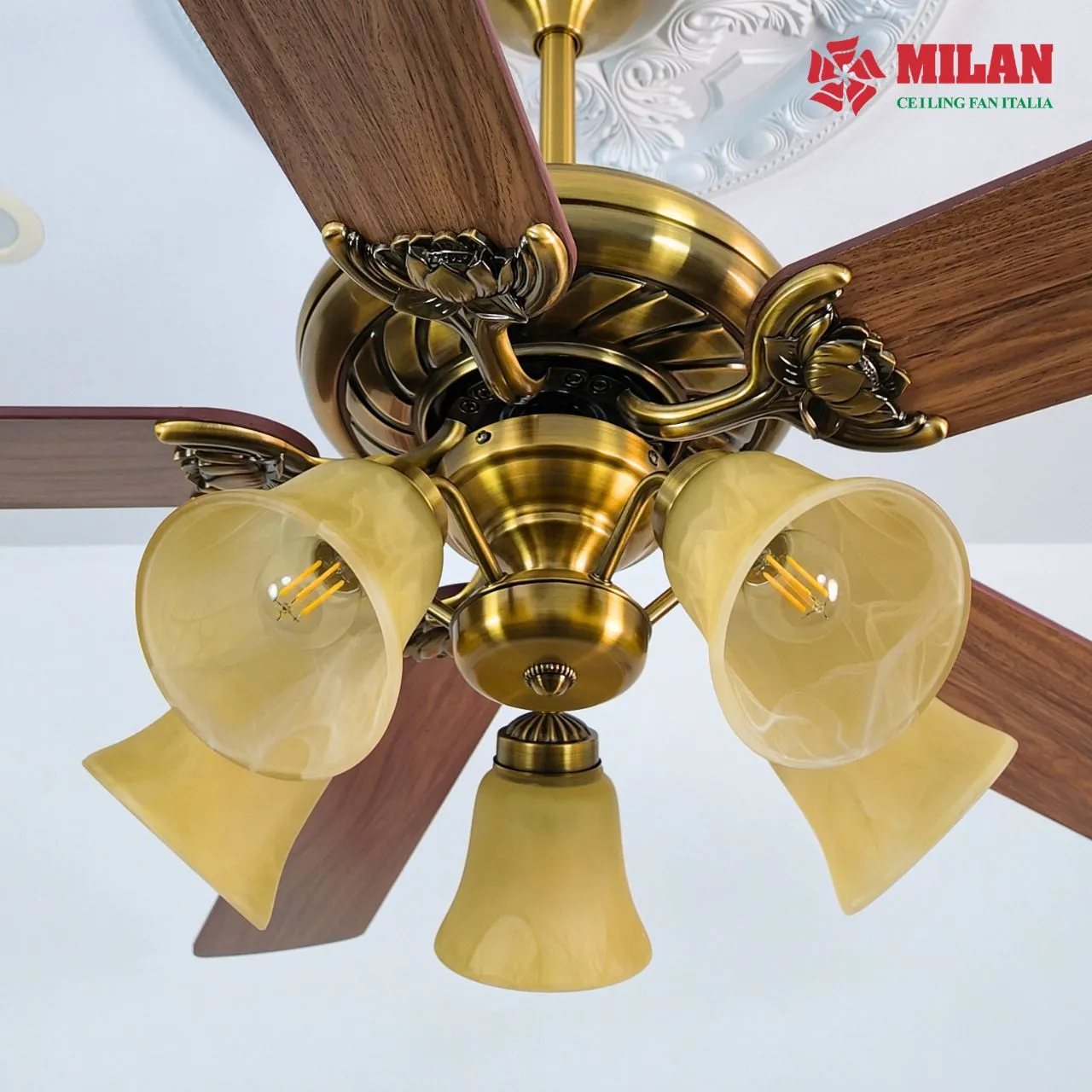 Quạt trần FY503 sử dụng động cơ DC 1 chiều tiết kiệm điện năng.
